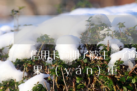 信用卡逾期了被注銷了(逾期后注銷信用卡后果嚴(yán)重)