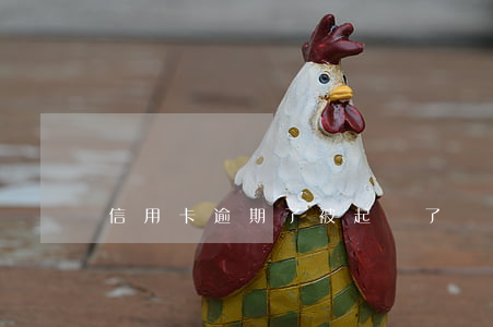 信用卡逾期了被起訴了會怎么樣