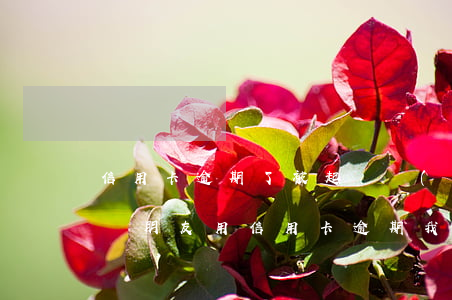 信用卡逾期了被起訴會(huì)通知家屬嗎 朋友用信用卡逾期,我可以起訴嗎