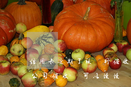 信用卡逾期了被銀行催收(信用卡逾期被催收公司催收還可以慢慢還嗎)