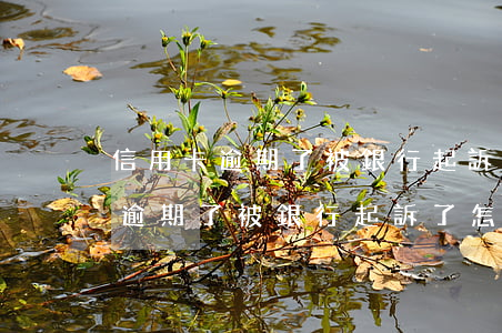 信用卡逾期了被銀行起訴了怎么辦-信用卡逾期了被銀行起訴了怎么辦呢