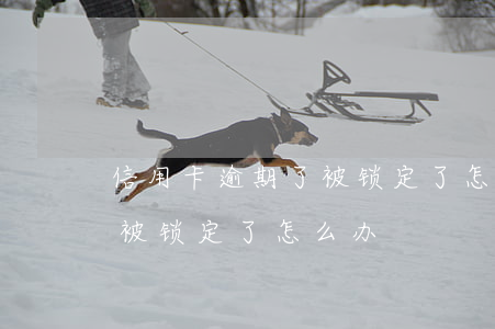 信用卡逾期了被锁定了怎么办(信用卡逾期了被锁定了怎么办)