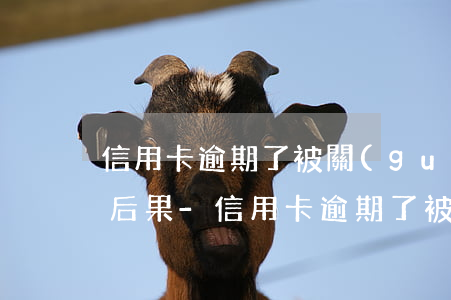 信用卡逾期了被關(guān)閉還款通道后果-信用卡逾期了被關(guān)閉還款通道后果會怎樣