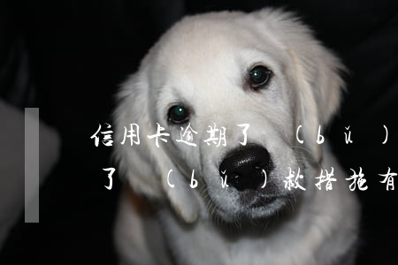 信用卡逾期了補(bǔ)救措施(信用卡逾期了補(bǔ)救措施有哪些)
