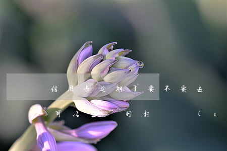 信用卡逾期了要不要去銀行協(xié)商(可以去銀行柜臺協(xié)商信用卡逾期嗎)