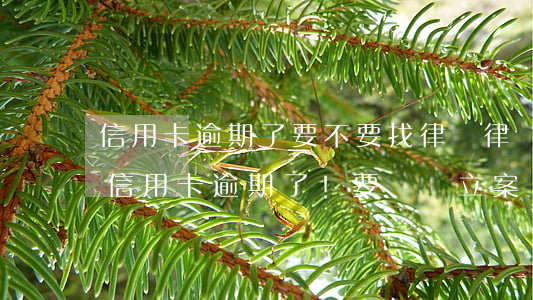 信用卡逾期了要不要找律師(律師到家里來說信用卡逾期了!要準備立案)