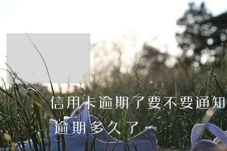 信用卡逾期了要不要通知老板(你們的信用卡逾期多久了)