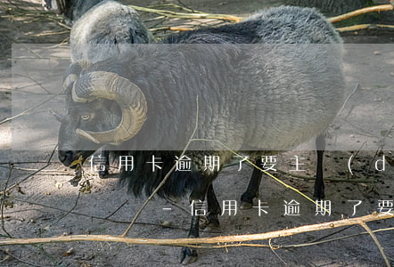 信用卡逾期了要主動(dòng)打銀行電話嗎-信用卡逾期了要主動(dòng)打銀行電話嗎怎么辦