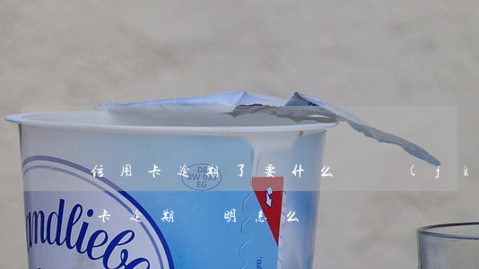 信用卡逾期了要什么證據(jù)(銀行信用卡逾期證明怎么寫)