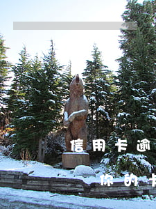信用卡逾期了要去注銷卡(信用卡逾期銀行注銷你的卡,要怎么還款?)