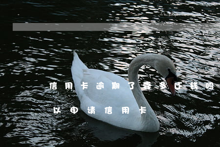 信用卡逾期了要多还钱吗-逾期还完多久可以申请信用卡