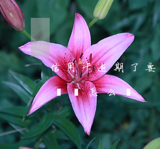 信用卡逾期了要寫什么證明(我信用卡有逾期記錄怎么辦)