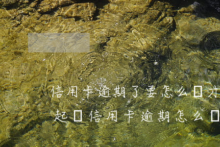 信用卡逾期了要怎么樣才能起訴(銀行去法院起訴信用卡逾期怎么辦)