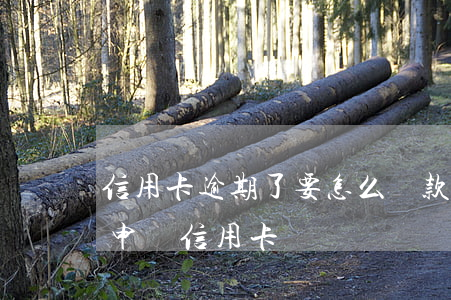 信用卡逾期了要怎么貸款嗎 貸款有逾期還能申請信用卡嗎
