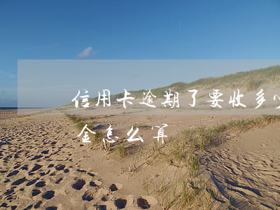信用卡逾期了要收多少违约金(欠信用卡违约金怎么算)