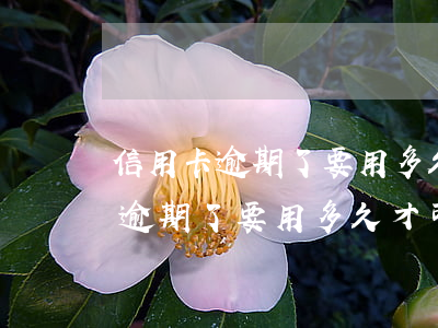 信用卡逾期了要用多久才可以銷戶-信用卡逾期了要用多久才可以銷戶呢