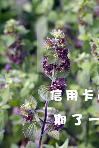信用卡逾期了要還多一倍-好幾張信用卡逾期了一年