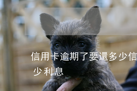 信用卡逾期了要還多少(信用卡逾期了要還多少利息)