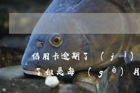 信用卡逾期了計(jì)劃還款(信用卡逾期了但是每個(gè)月都堅(jiān)持還款)