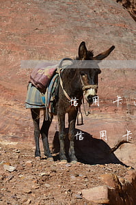 信用卡逾期了該公布什么后果-什么情況下信用卡會被認(rèn)為嚴(yán)重逾期