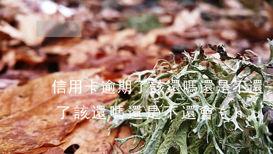 信用卡逾期了該還嗎還是不還-信用卡逾期了該還嗎還是不還會(huì)怎么樣