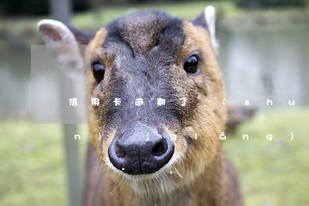 信用卡逾期了說(shuō)要上門(mén)強(qiáng)制還錢(qián)(信用卡逾期了說(shuō)要上門(mén)強(qiáng)制還錢(qián)怎么辦)