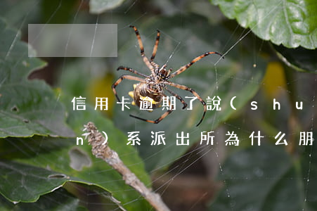 信用卡逾期了說(shuō)要聯(lián)系派出所 為什么朋友信用卡逾期電話(huà)會(huì)打到我這里