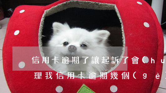 信用卡逾期了讓起訴了會(huì)怎么處理(我信用卡逾期幾個(gè)月了他們說要告我上法院)