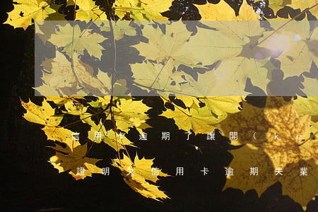 信用卡逾期了讓開(kāi)失業(yè)證明(欠信用卡逾期失業(yè)可以辦失業(yè)金嗎)
