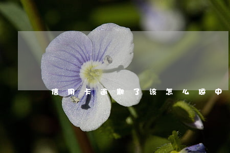 信用卡逾期了该怎么做（中行信用卡逾期说明）