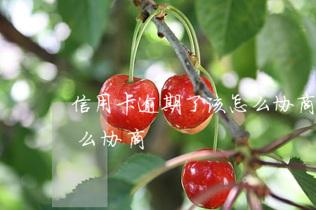 信用卡逾期了该怎么协商(信用卡逾期了该怎么协商)