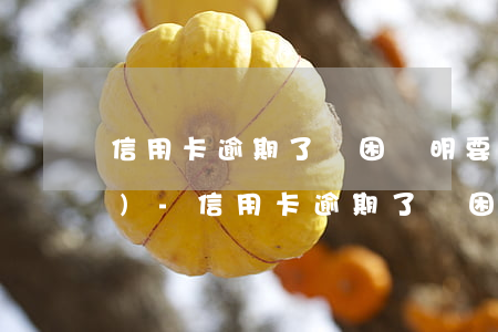 信用卡逾期了貧困證明要去哪里開(kāi)-信用卡逾期了貧困證明要去哪里開(kāi)呢