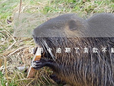 信用卡逾期了貨款不能(信用卡逾期了貨款不能)