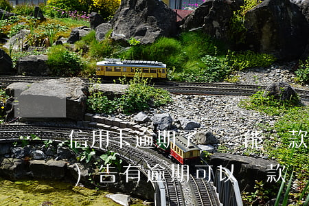 信用卡逾期了買車能貸款嗎(信用報(bào)告有逾期可以貸款買車嗎)