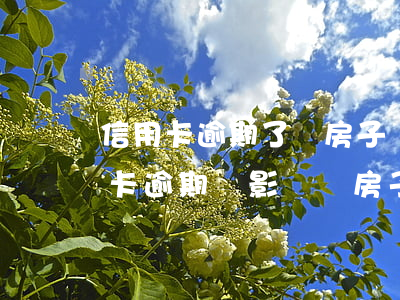 信用卡逾期了賣房子會有影響嗎 房主有信用卡逾期會影響賣房子過戶嗎