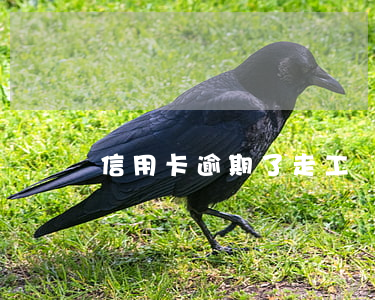 信用卡逾期了走工單是什么意思