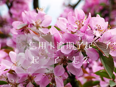 信用卡逾期了起訴了會怎么樣（信用卡逾期了起訴了會怎么樣）