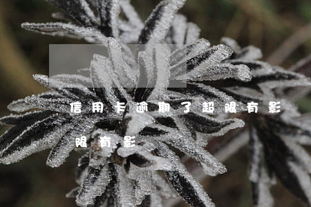 信用卡逾期了超限有影響嗎(信用卡逾期了超限有影響嗎)