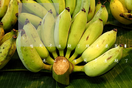 信用卡逾期了跟老婆有關(guān)系嗎-老公的信用卡逾期了老婆的卡會凍結(jié)嗎