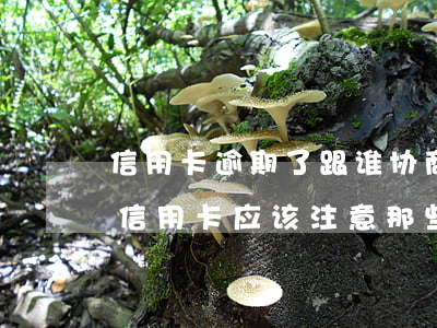 信用卡逾期了跟谁协商(跟第三方协商还逾期信用卡应该注意那些方面的问题)