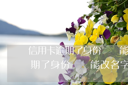 信用卡逾期了身份證還能改名字嗎(信用卡逾期了身份證還能改名字嗎微信)