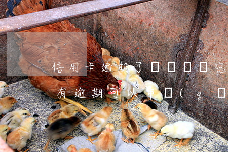 信用卡逾期了車貸沒還完(信用卡有欠款但沒有逾期可以申請(qǐng)車貸嗎)