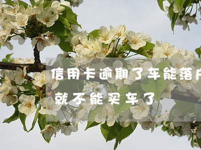 信用卡逾期了车能落户吗 是不是信用卡逾期就不能买车了