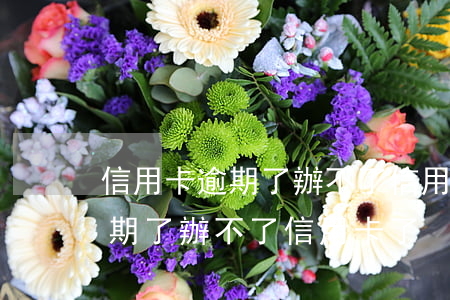 信用卡逾期了辦不了信用卡了咋辦（信用卡逾期了辦不了信用卡了）