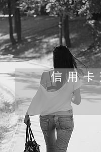 信用卡逾期了辦網(wǎng)貸可以辦嗎