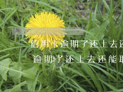 信用卡逾期了还上去还能取出来吗?-信用卡逾期了还上去还能取出来吗