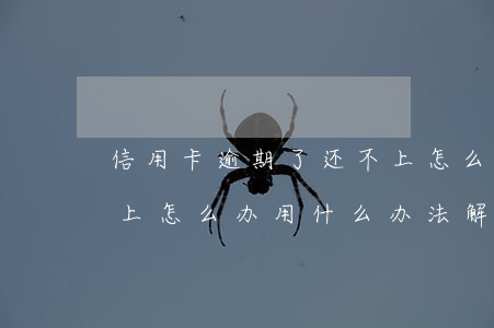 信用卡逾期了还不上怎么办(信用卡逾期还不上怎么办用什么办法解决)