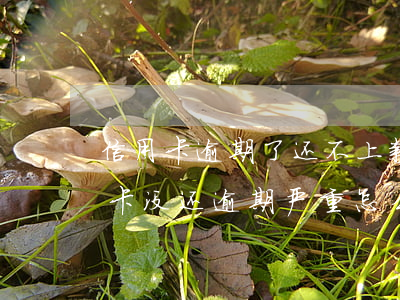 信用卡逾期了还不上款(因为出了事导致信用卡没还逾期严重怎么办)
