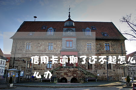 信用卡逾期了还不起怎么处理(信用卡逾期怎么办)