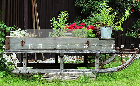 信用卡逾期了还了款利息还算多久